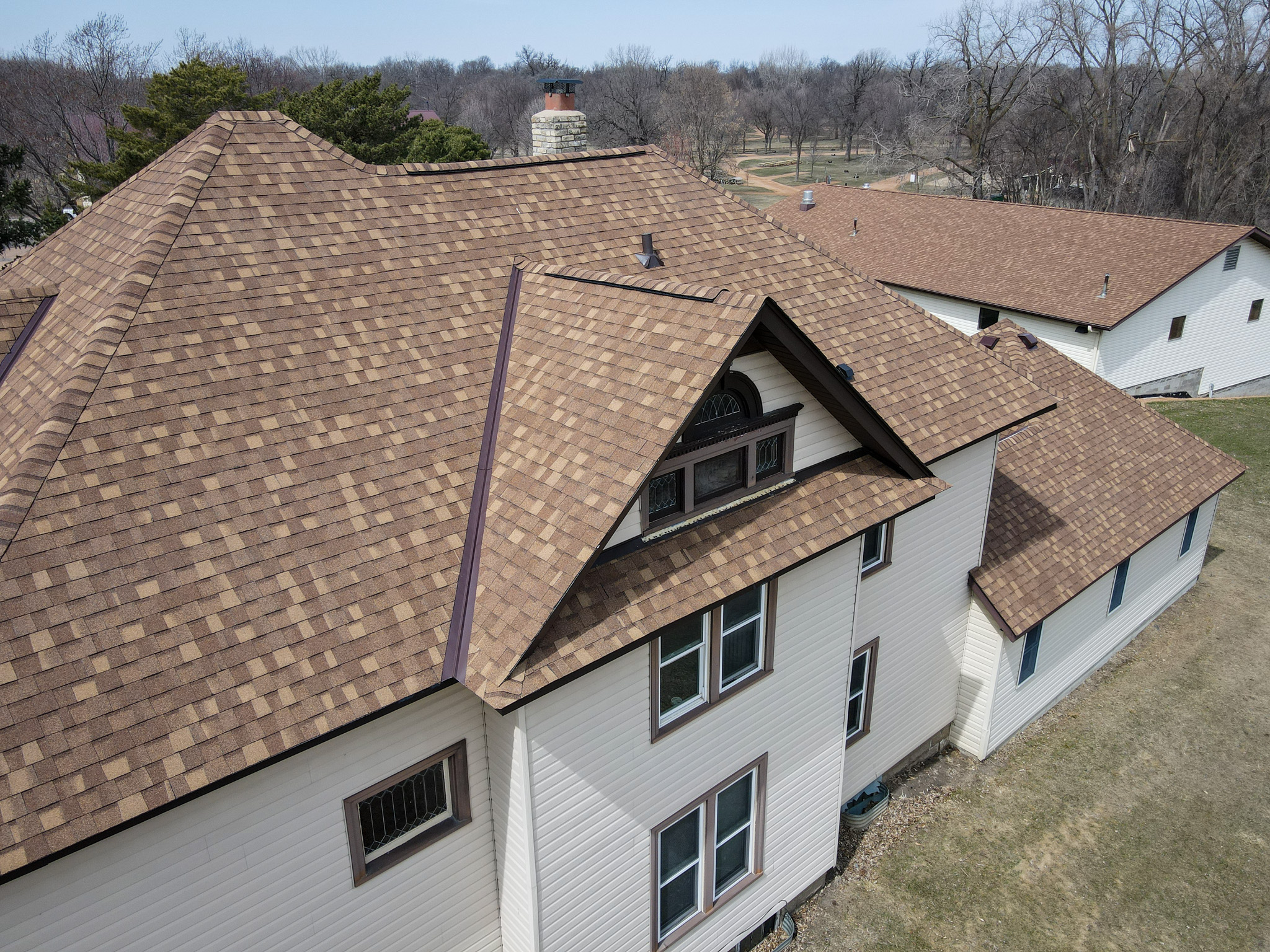 Side roofline with shingle texture and tree background